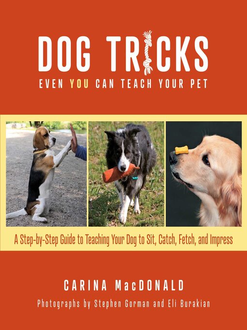 Title details for Dog Tricks Even You Can Teach Your Pet by Carina MacDonald - Available